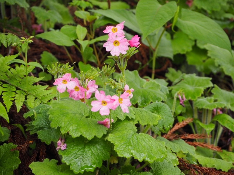 岳人の森（徳島）_e0350905_21563363.jpg