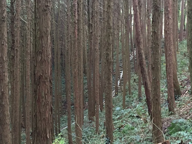 胸の観音寺（京都郡みやこ町）_f0364707_18440517.jpg