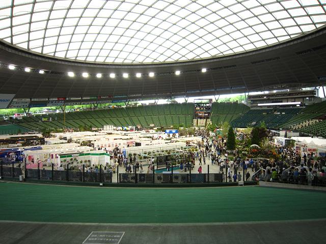 a0141408_1814260.jpg