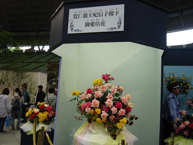 a0141408_1844631.jpg