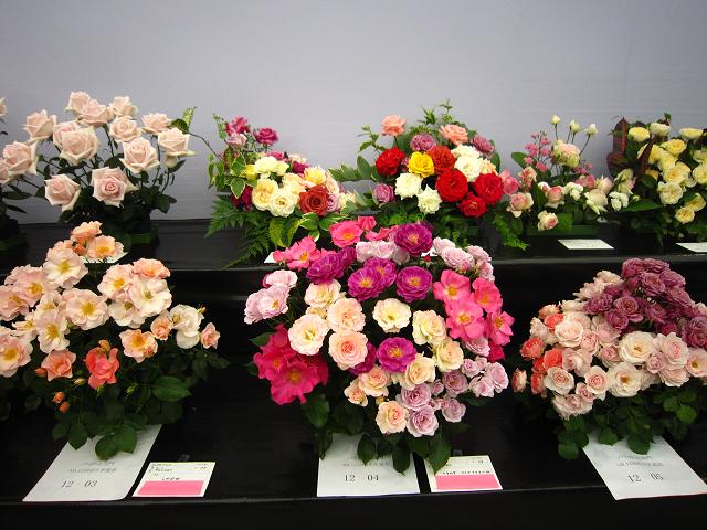 a0141408_1851724.jpg