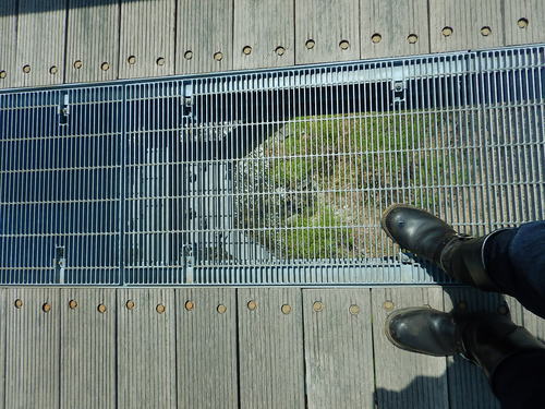 e0243008_450268.jpg