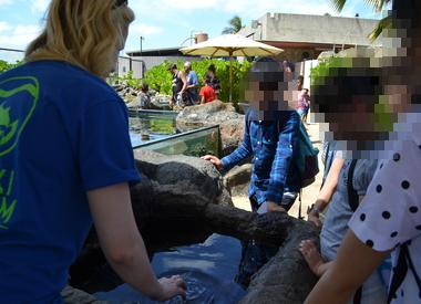 b0121019_14352135.png