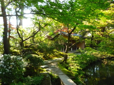 ~ 清水園 花めぐり ~_e0135219_16475851.jpg