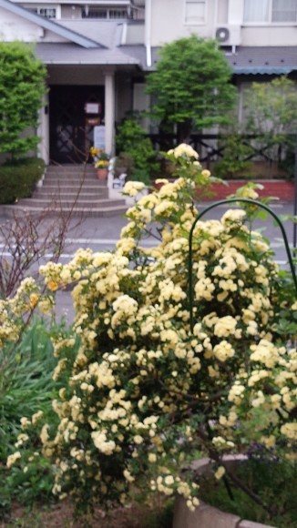 c0155326_15335059.jpg