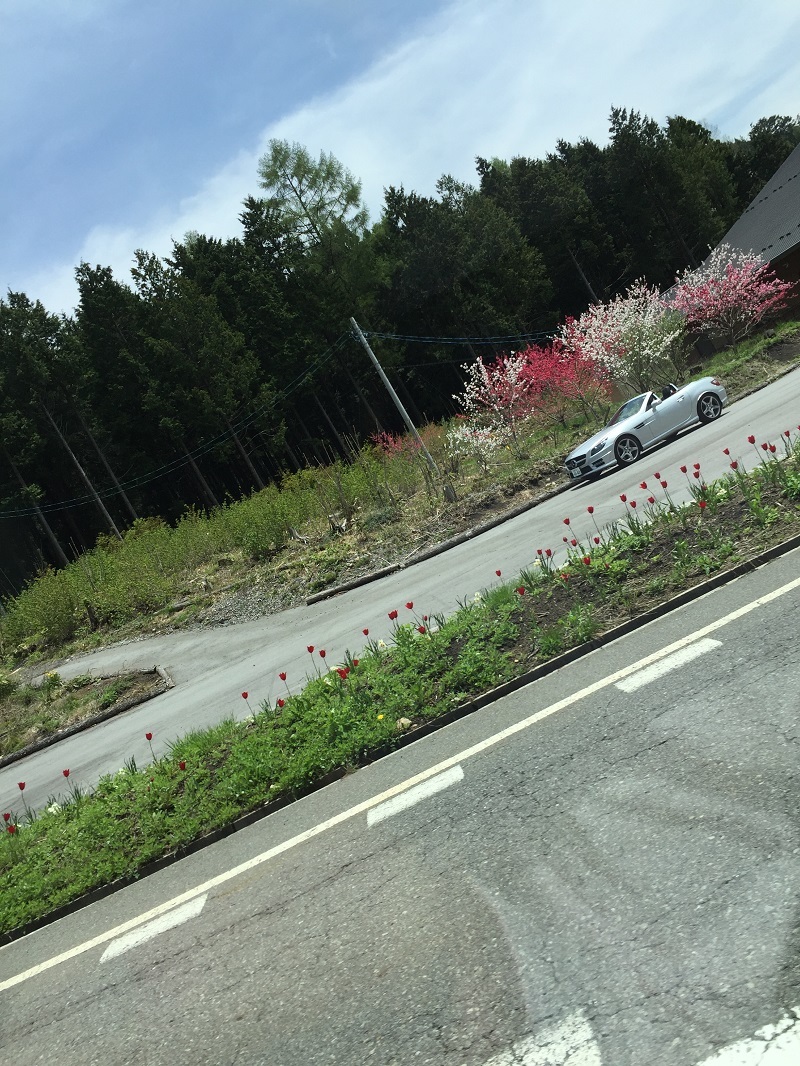 何れ菖蒲か杜若:22BーSTi VERSION遂に復活!_f0076731_16431612.jpg
