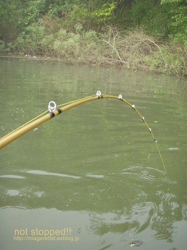 f0335637_21361075.jpg