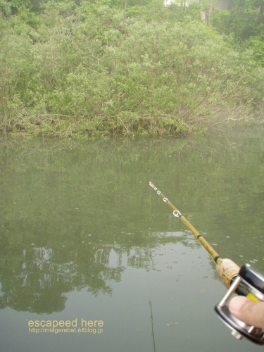 f0335637_21362114.jpg