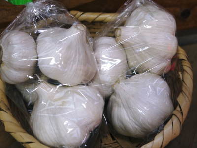 『無農薬栽培にんにく』 芽カギ作業を終えまもなく収穫です。収穫後は乾燥させ今年もネット独占販売します!_a0254656_18065081.jpg