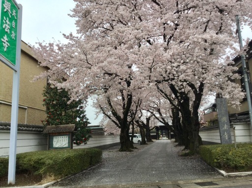 アイラブ 小山 栃木県からの発信(3)本郷町・藤岡町太田_a0053063_07135180.jpg