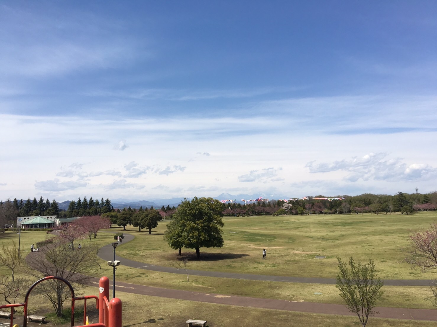 アイラブ 小山、栃木県からの発信(4)小山総合公園_a0053063_21400716.jpg