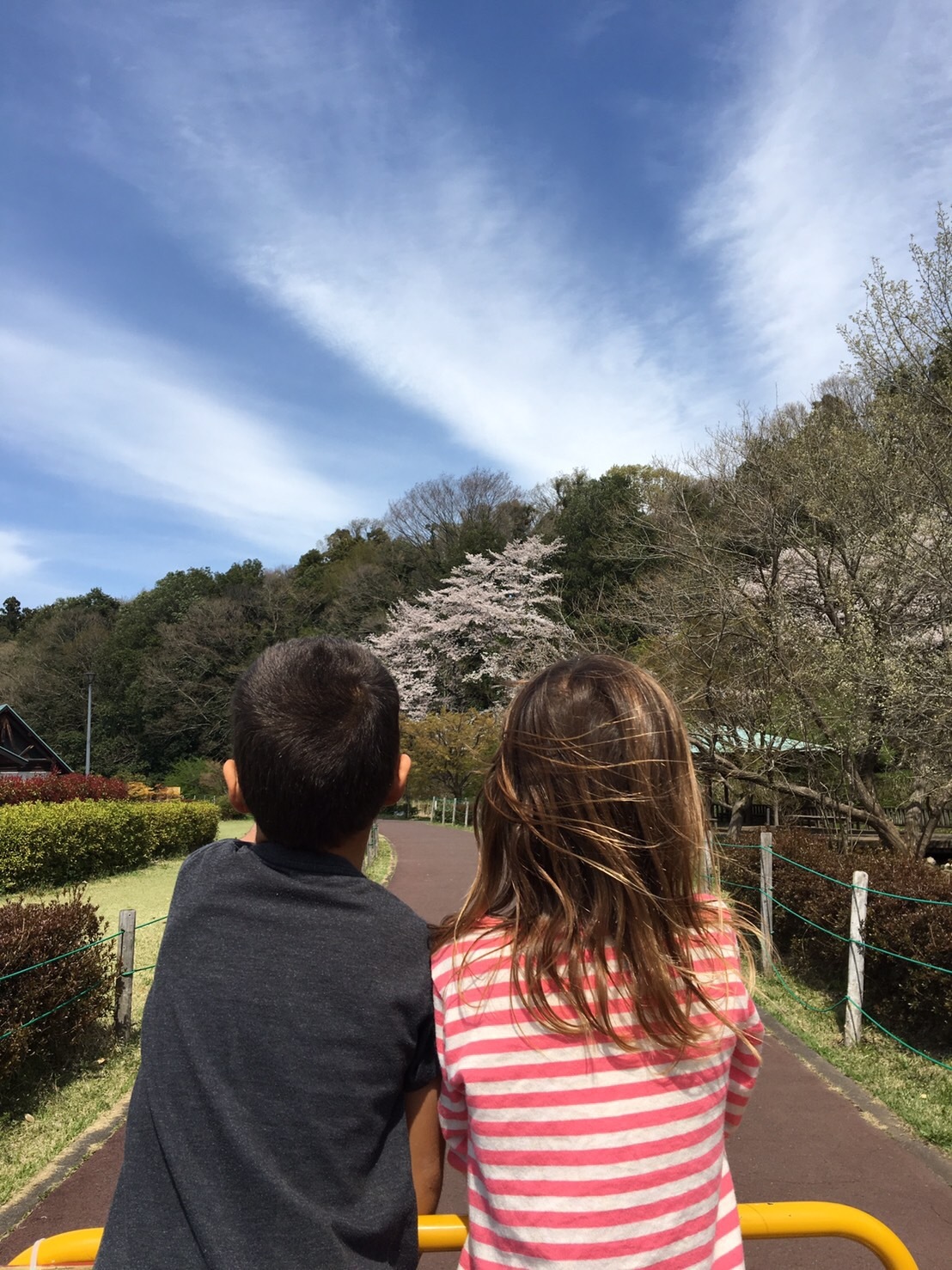 アイラブ 小山、栃木県からの発信(4)小山総合公園_a0053063_22012370.jpg