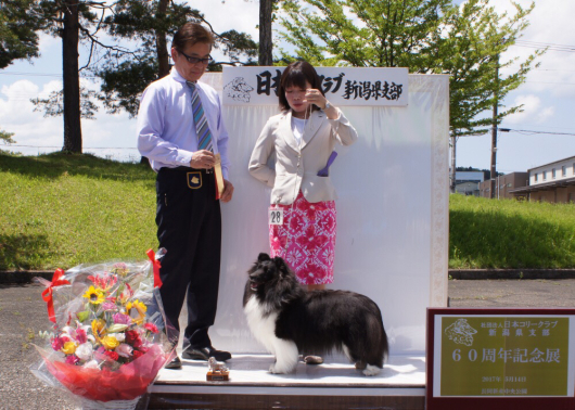 JCC新潟60周年記念展_f0126965_21103957.jpg