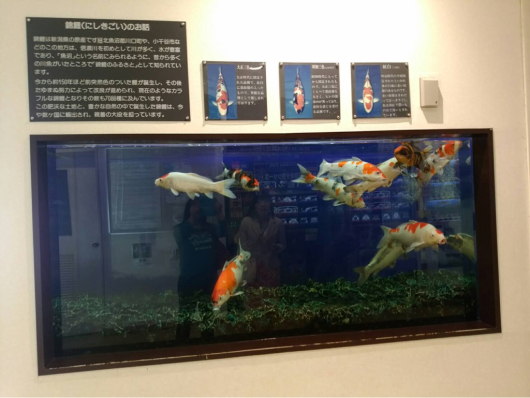 JCC新潟60周年記念展_f0126965_21104174.jpg