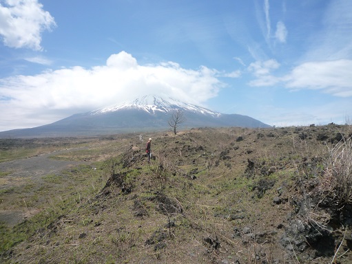 c0273271_1181366.jpg