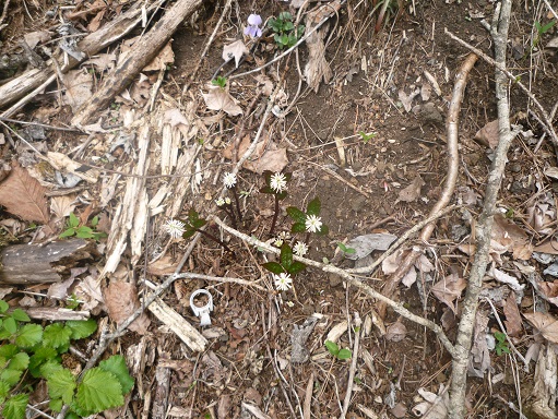 c0273271_1510892.jpg