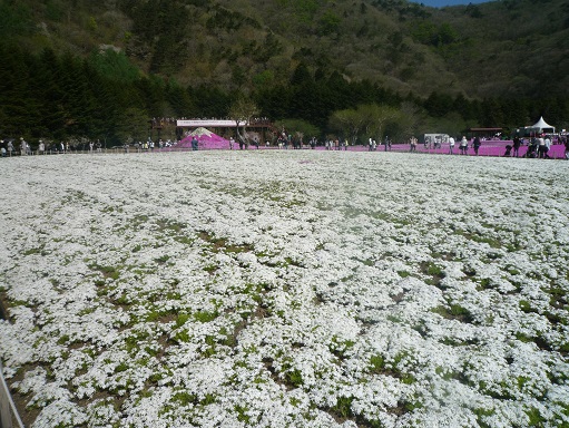 c0273271_1524015.jpg