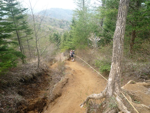 c0273271_153508.jpg