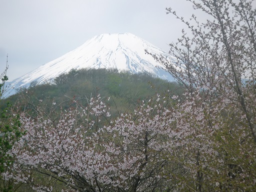 c0273271_1555474.jpg