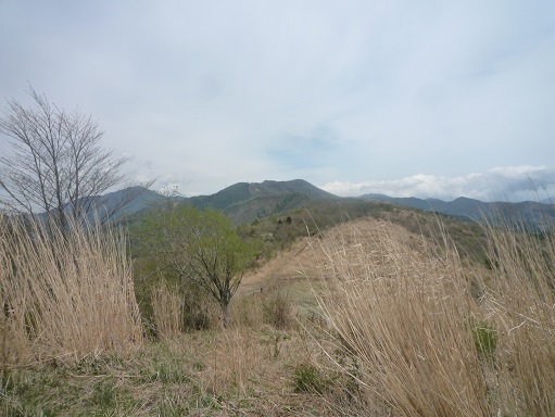 c0273271_1593416.jpg