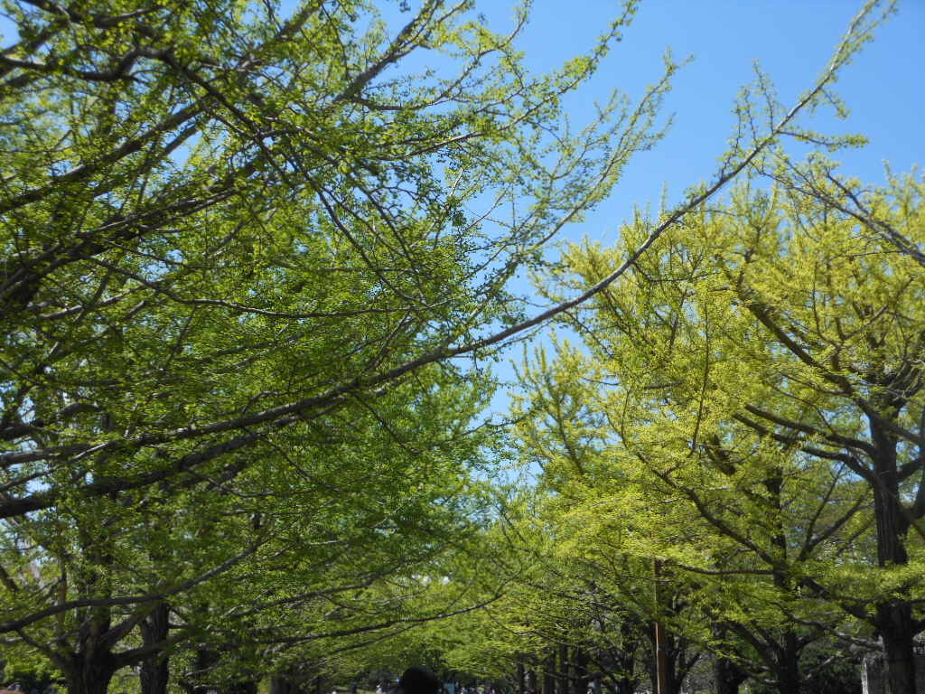 b0242873_00093822.jpg