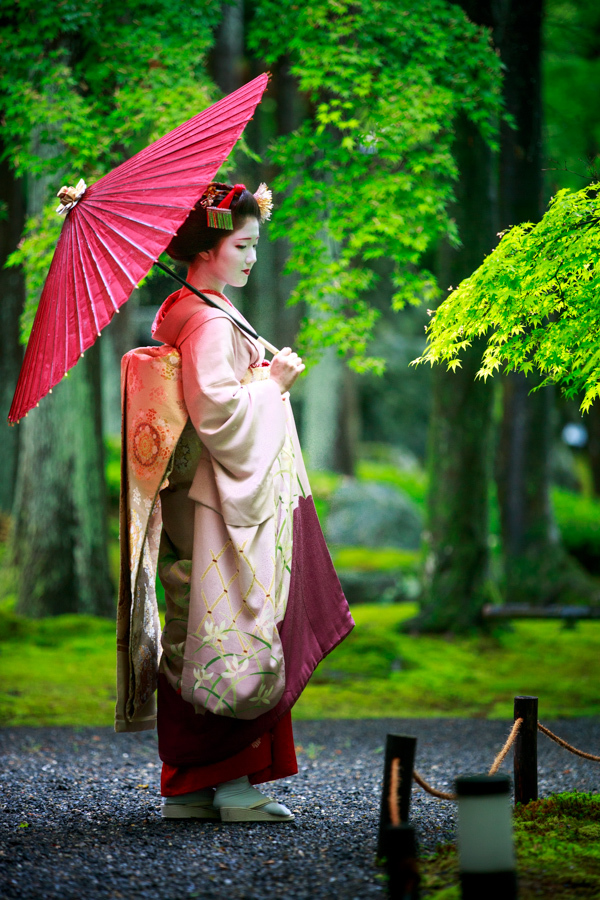 サ*ー様 正絹健勝苑御神輿兎文様蛍暈し付下 サ*ー様 正絹健勝苑御神輿兎文様蛍暈し付下 上七