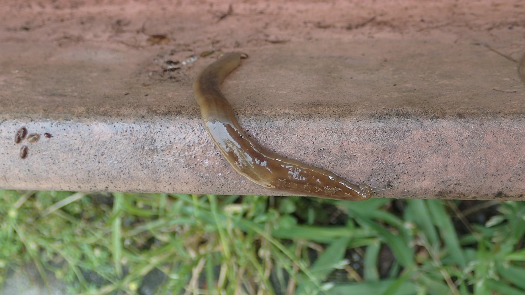 f0346184_17313430.jpg