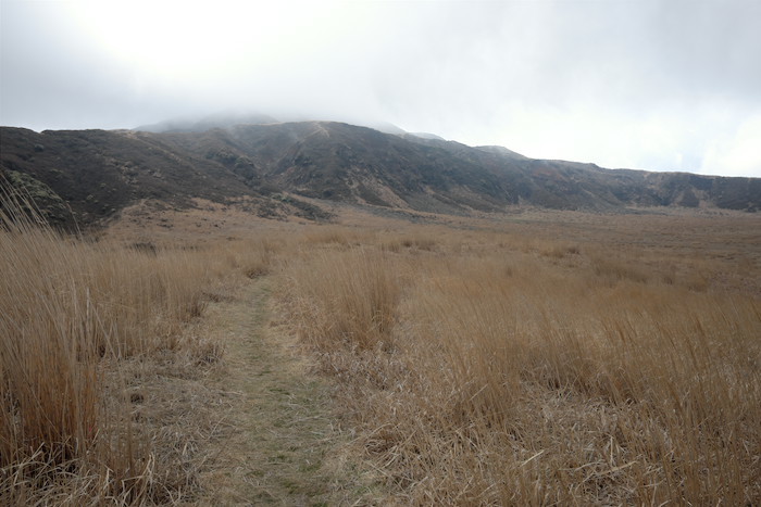 b0339488_19595875.jpg