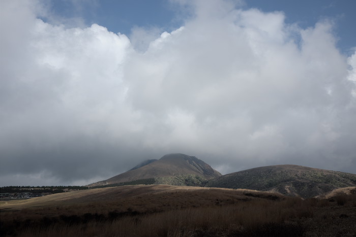 b0339488_20000865.jpg