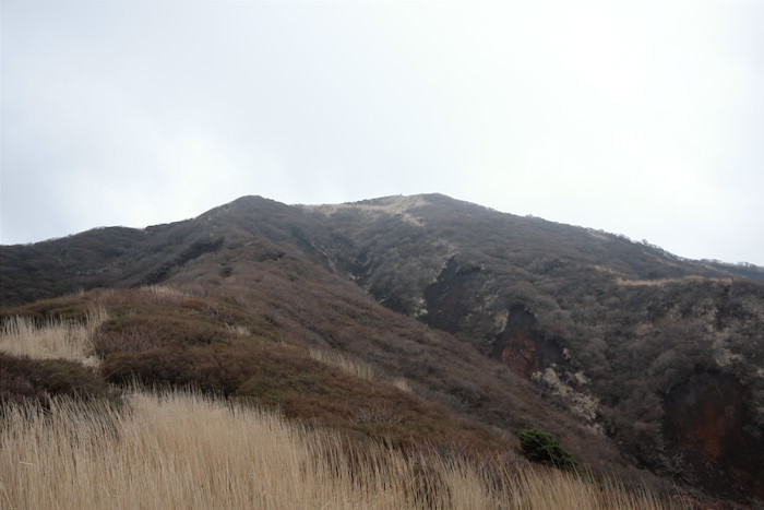 b0339488_20001930.jpg