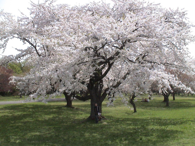 c0171889_11423183.jpg