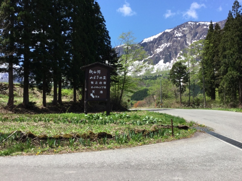 長野県秋山郷ギフチョウ＆長岡市栖吉町ウスバシロチョウ_d0356192_16233798.jpg