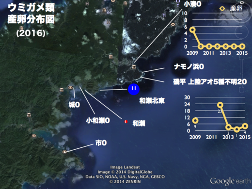 5/13 梅雨入りウミガメミーティング_a0010095_1117413.png