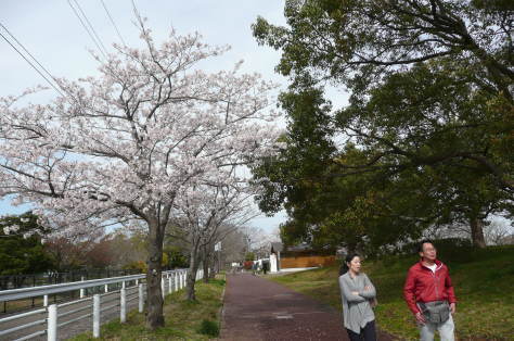 2017年5月21日　 家内の友人（三越デパート着物縫製養成時代の友）柏屋の生活　その4_d0249595_16311027.jpg