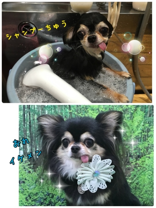 d0269898_18344198.jpeg