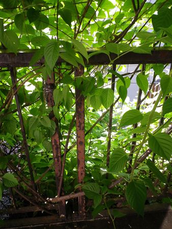 f0239100_23102218.jpg