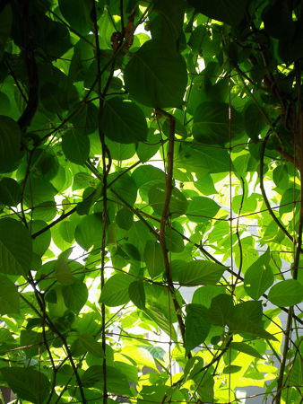 f0239100_23122006.jpg