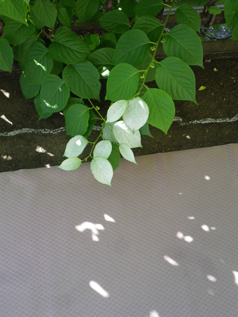f0239100_23191100.jpg