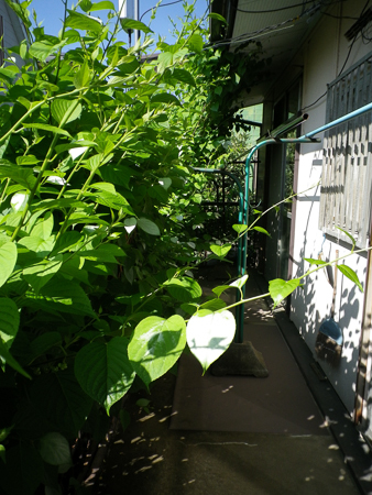 f0239100_23235559.jpg
