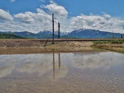 c0336902_17593295.jpg