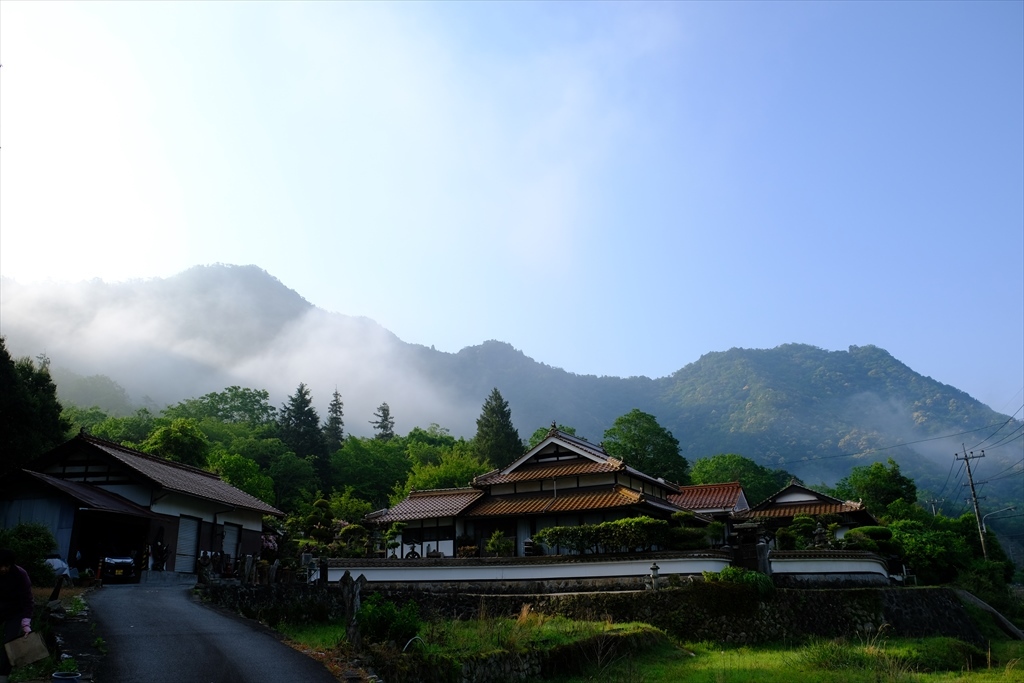 シャクナゲに会いに鎌倉寺山へ(2017/05/14)_c0346710_20310339.jpg