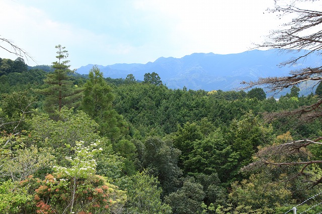 滝原森林公園を散策(撮影:4月29日)_e0321325_931144.jpg