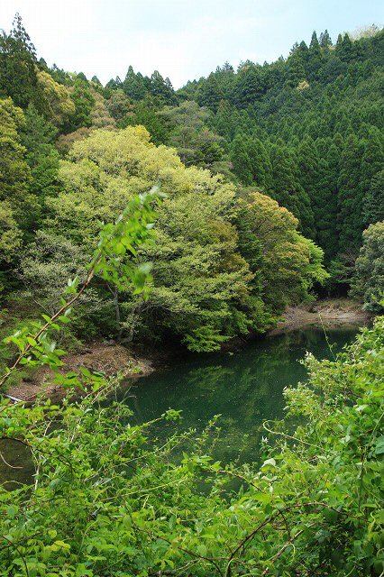 滝原森林公園を散策(撮影:4月29日)_e0321325_9324743.jpg