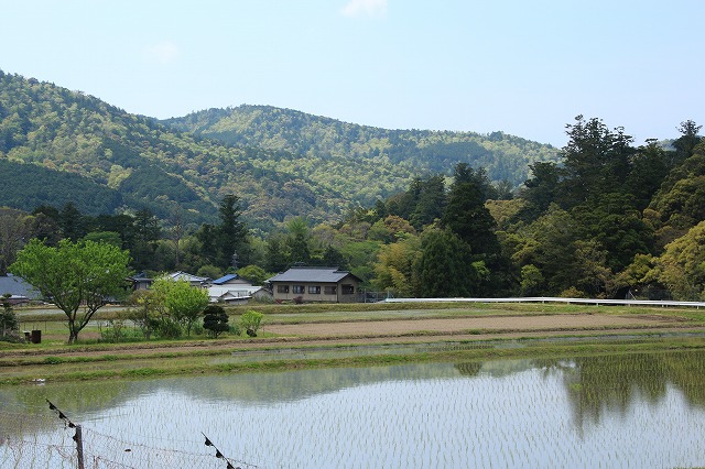 滝原森林公園を散策(撮影:4月29日)_e0321325_9372614.jpg