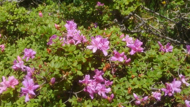 e0359828_18435769.jpg
