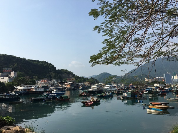 鯉魚門・三家村碼頭からフェリーで行く!思ったよりきつかった東龍洲 (前編)☆Tung Lung Chau Island Part One_f0371533_17591521.jpg
