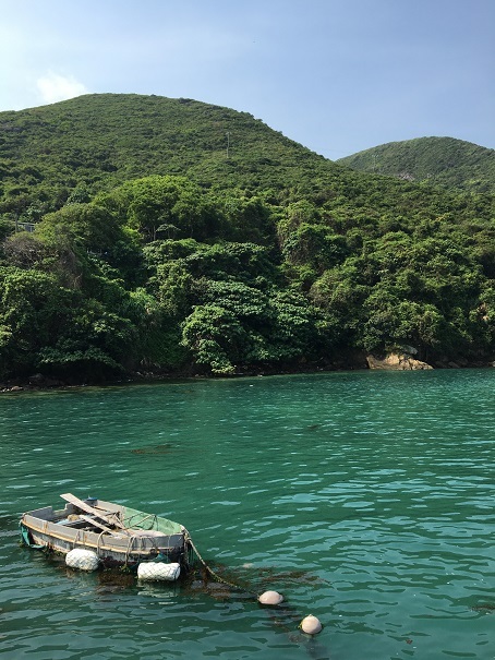 鯉魚門・三家村碼頭からフェリーで行く!思ったよりきつかった東龍洲 (前編)☆Tung Lung Chau Island Part One_f0371533_18125130.jpg