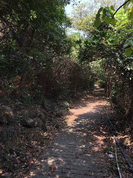 鯉魚門・三家村碼頭からフェリーで行く!思ったよりきつかった東龍洲 (前編)☆Tung Lung Chau Island Part One_f0371533_18132051.jpg