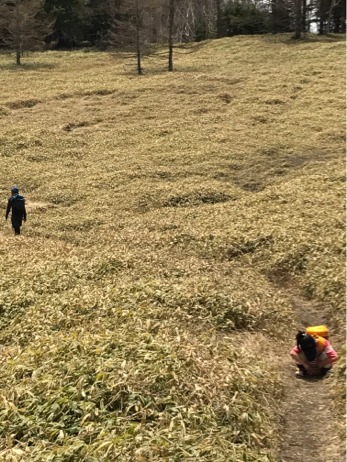 甘利山へトレッキングに行きました。_f0236736_13460051.jpg