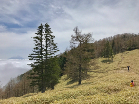 甘利山へトレッキングに行きました。_f0236736_13460082.jpg